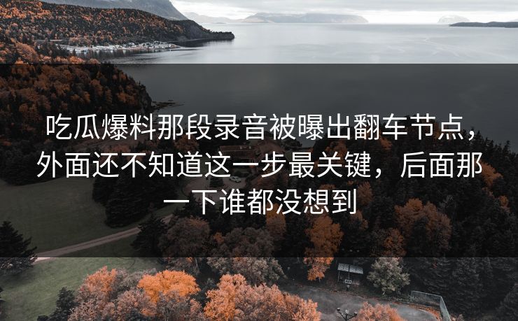 吃瓜爆料那段录音被曝出翻车节点，外面还不知道这一步最关键，后面那一下谁都没想到