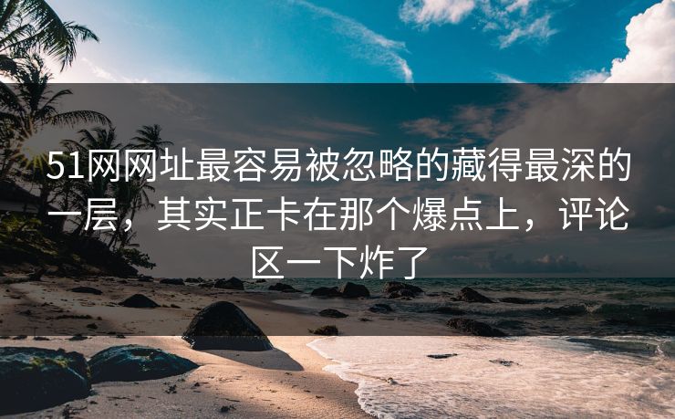 51网网址最容易被忽略的藏得最深的一层，其实正卡在那个爆点上，评论区一下炸了